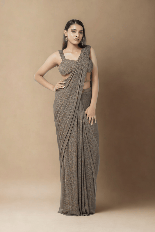 BROWN MESH CONCEPT SAREE