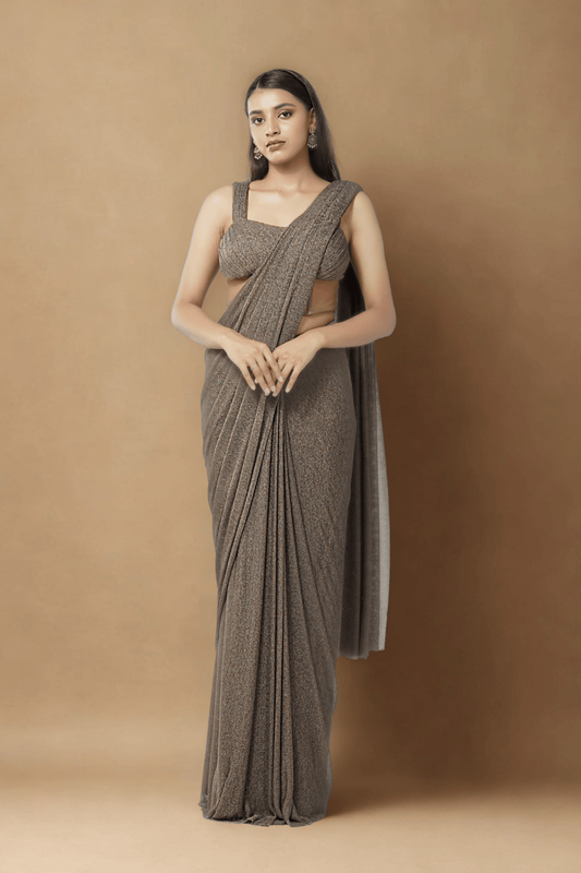 BROWN MESH CONCEPT SAREE
