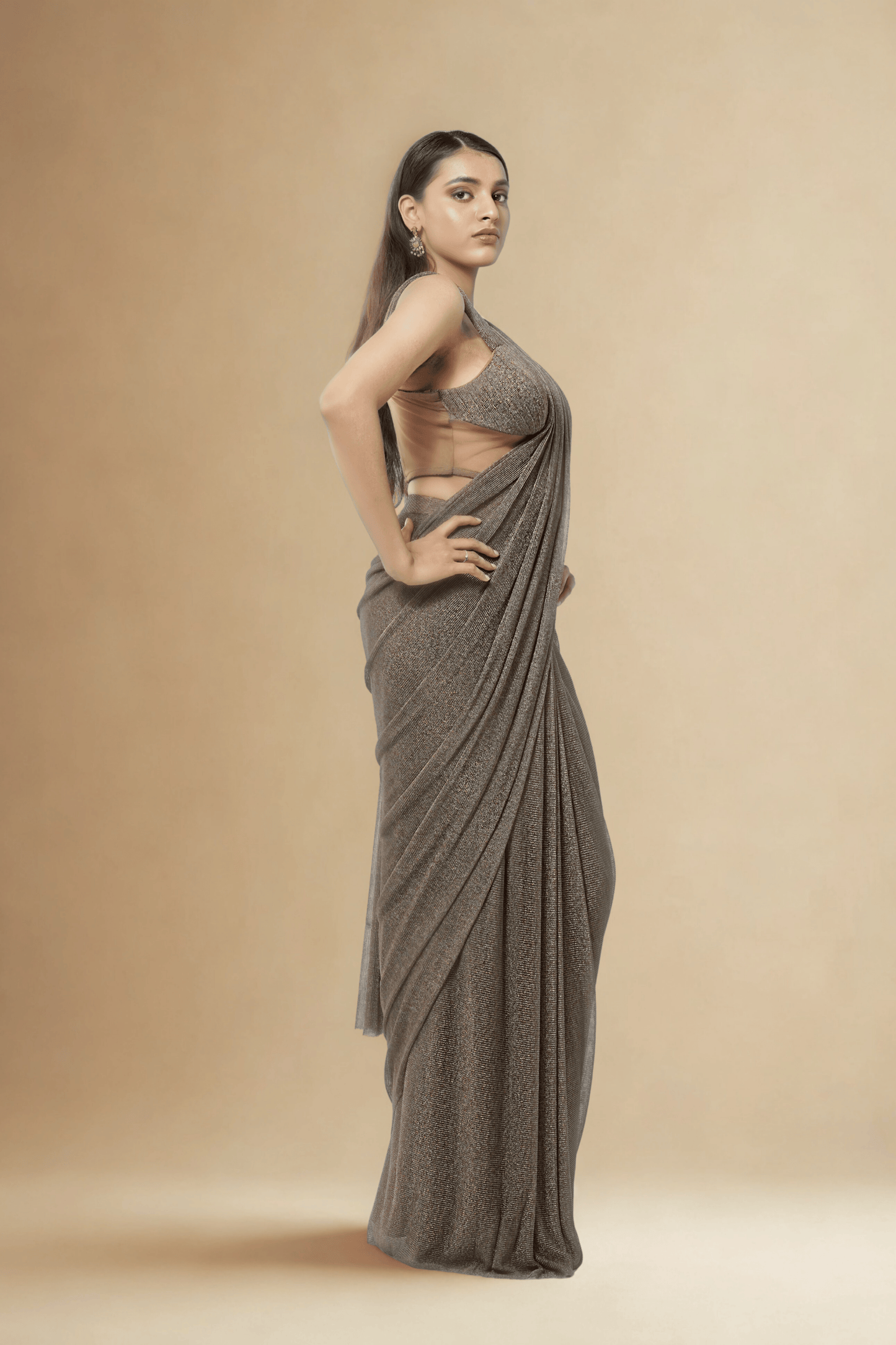BROWN MESH CONCEPT SAREE