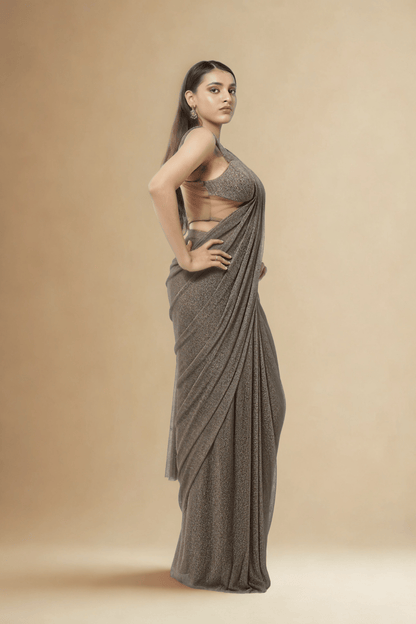 BROWN MESH CONCEPT SAREE