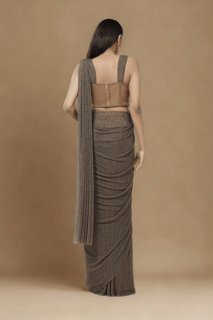 BROWN MESH CONCEPT SAREE