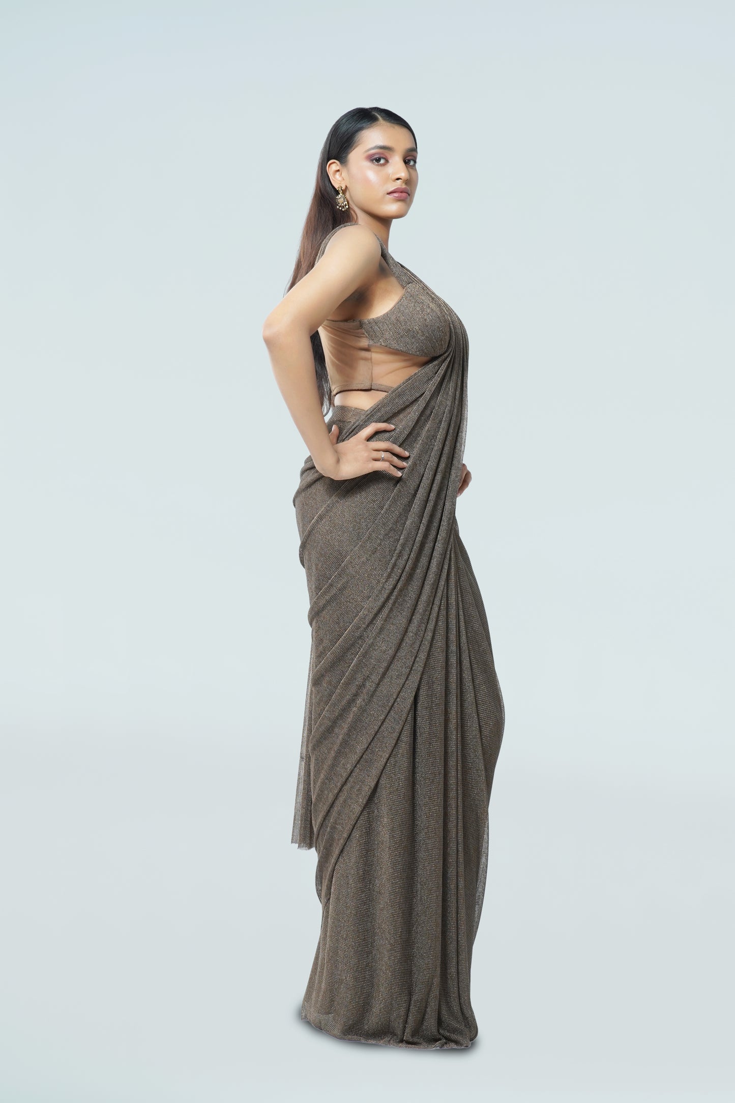 BROWN MESH CONCEPT SAREE