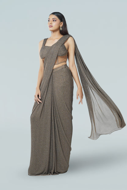 BROWN MESH CONCEPT SAREE